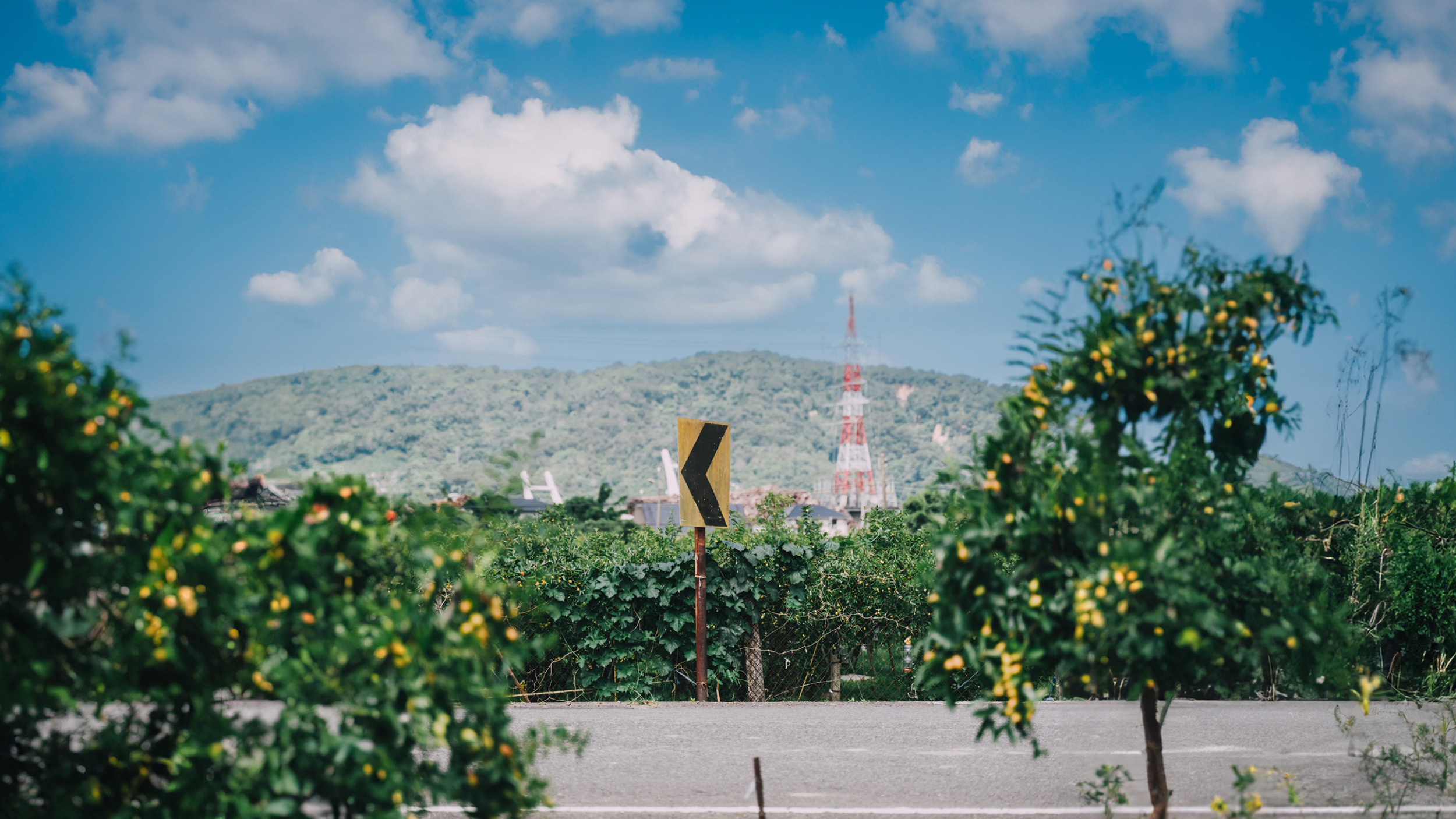 釀造好日文化有限公司